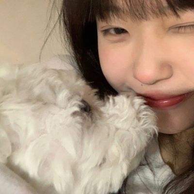 sumikkogurashi最新版下载